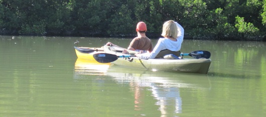 Kayaking in the Florida mangroves