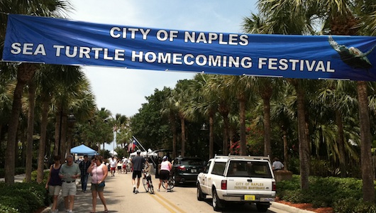 Sea Turtle Festival by the City of Naples