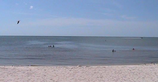 Close look at the calm gulf waters in Naples Florida