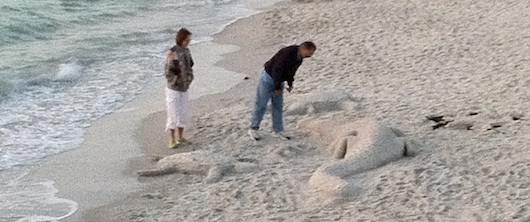 Alligator and a Sea Turtle | Sand Sculpture on the Beach | Naples Florida