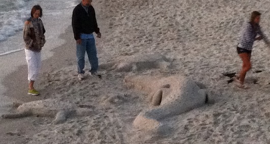Sand Sculpture of an Alligator and a Turtle on the beach in Naples