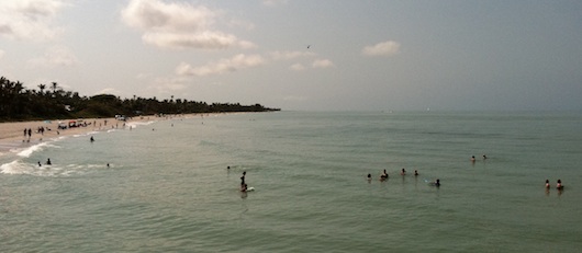 Looking South from Naples Fishing Pier