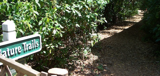Conservancy of Southwest Florida in Naples Florida