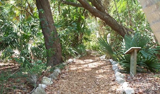 Conservancy of Southwest Florida in Naples Florida