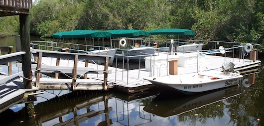 Conservancy of Southwest Florida in Naples Florida