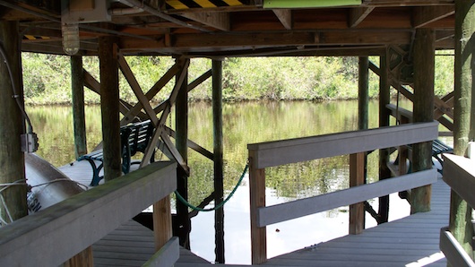 Conservancy of Southwest Florida in Naples Florida