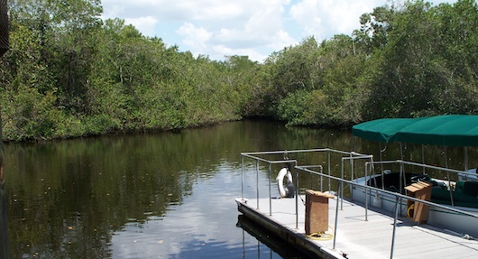 Conservancy of Southwest Florida in Naples Florida