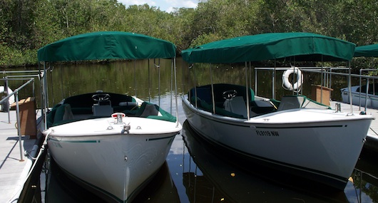 Conservancy of Southwest Florida in Naples Florida