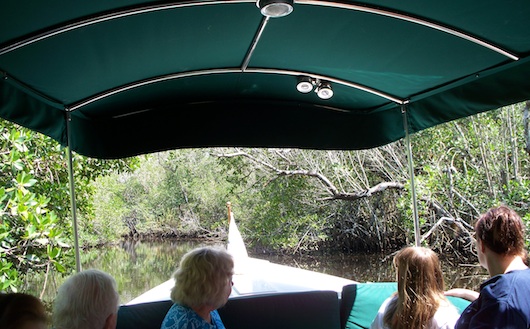 Conservancy of Southwest Florida in Naples Florida