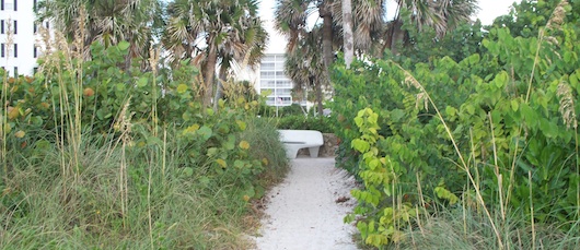 Walking back to parking lot from the beach by Doctors Pass