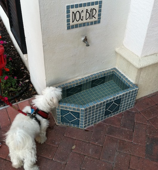 Dog Bar on Fifth Avenue South in Naples