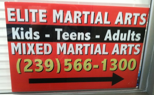 Elite Martial Arts in Naples