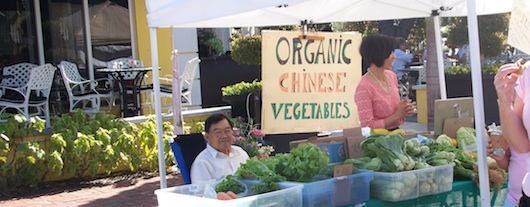 Chinese Organic Vegetables at the Farmers Market in Naples Florida