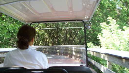 Shuttle to the Beach in Naples