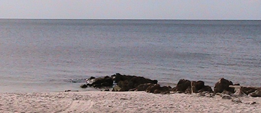 View of the Ocean at Gulf Shore Beach