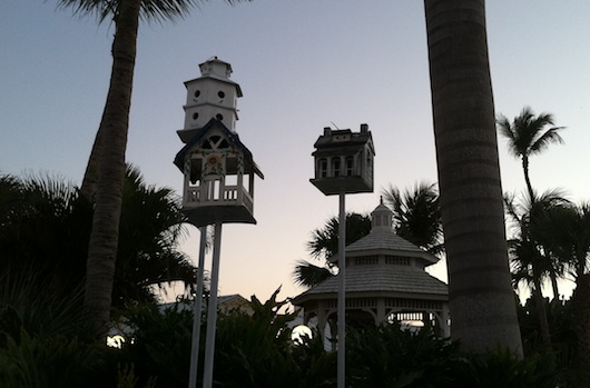 Bird Houses and Gazebo at Lemon Tree Inn