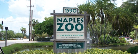 Naples Zoo at Caribbean Gardens
