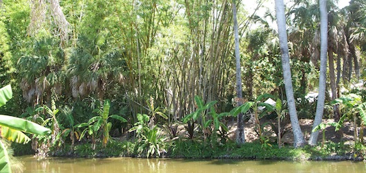 Naples Zoo at Caribbean Gardens