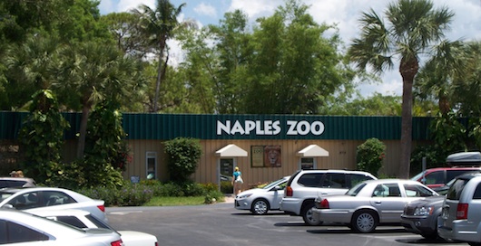 Naples Zoo at Caribbean Gardens