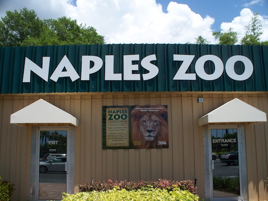 Naples Zoo at Caribbean Gardens