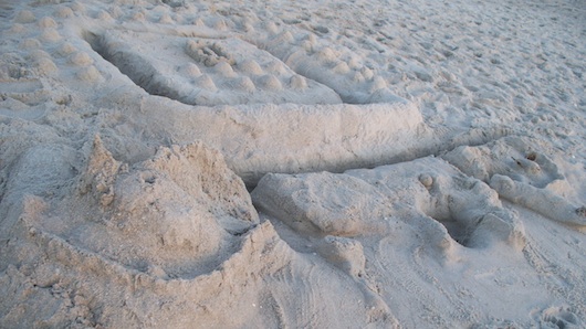 Sand Castle in Naples Florida Beach