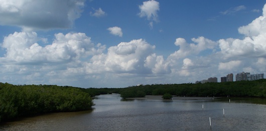 The Bay at Clam Pass Park in Naples Florida