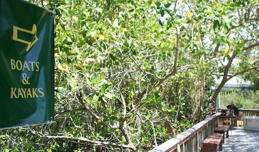 Conservancy of Southwest Florida in Naples Florida