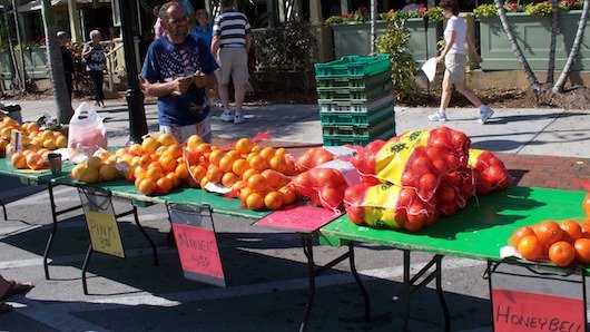 Naples Florida Farmer's Market
