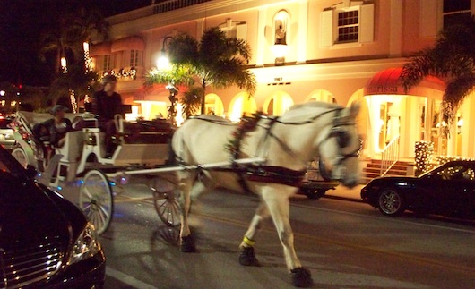 Horse Carriage in Naples Florida