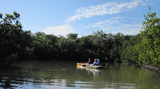 Kayaking in Clam Pass