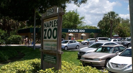 Naples Zoo at Caribbean Gardens