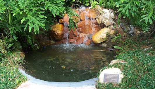 Waterfall at Rodgers Park in Naples Florida
