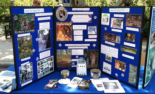 City of Naples Sea Turtle Homecoming Festival