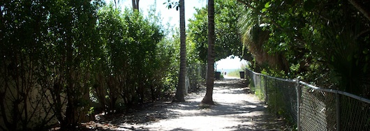 Walking towards the beach in Naples Florida